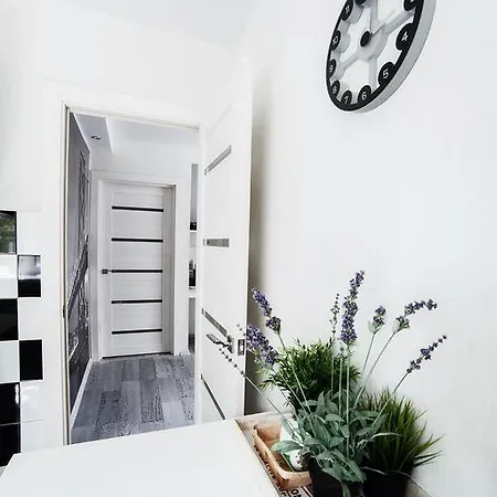Apartament Center Of - Iralina Mińsk
